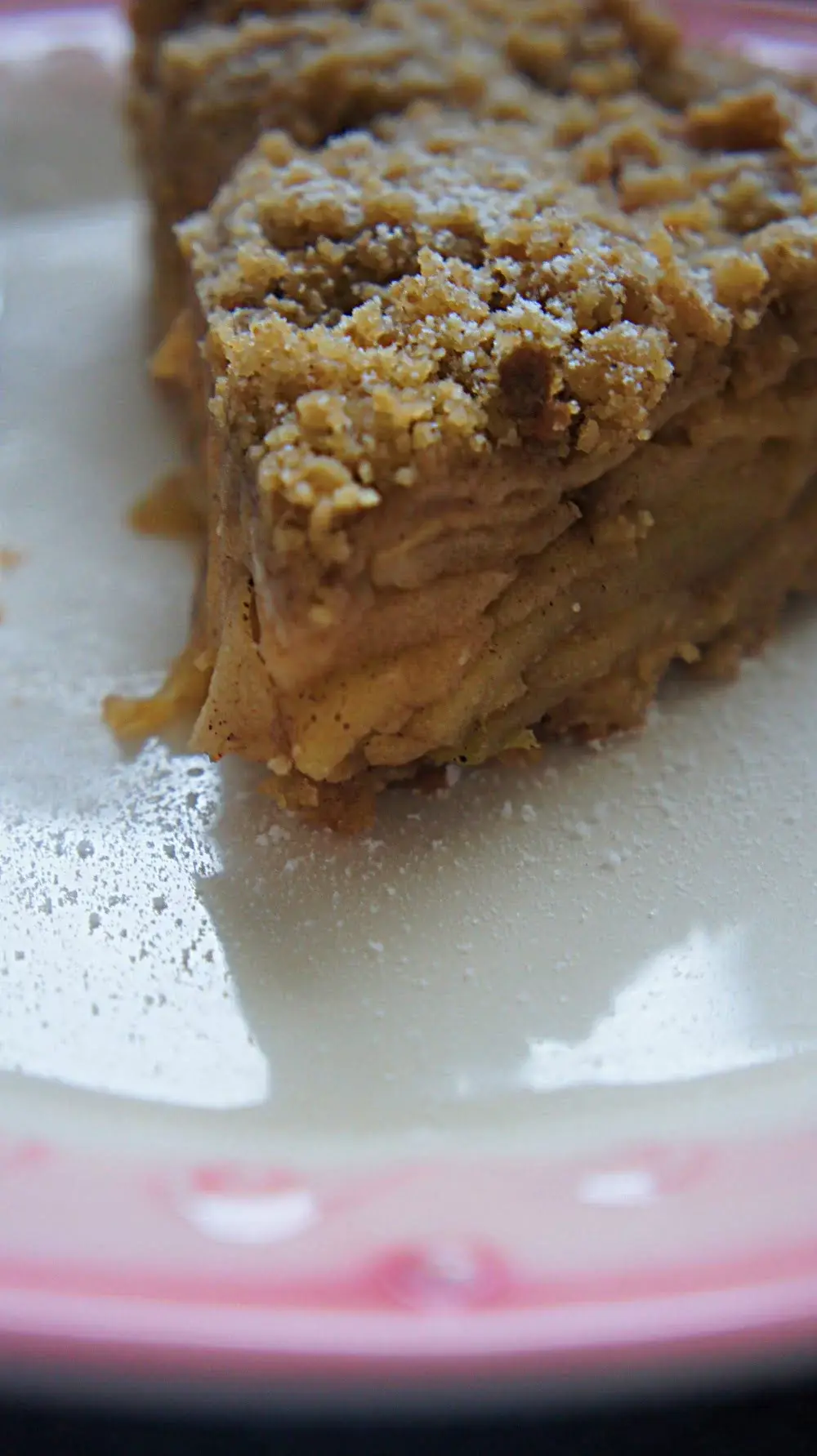 um pedaço de torta em um prato branco com detalhes em rosa