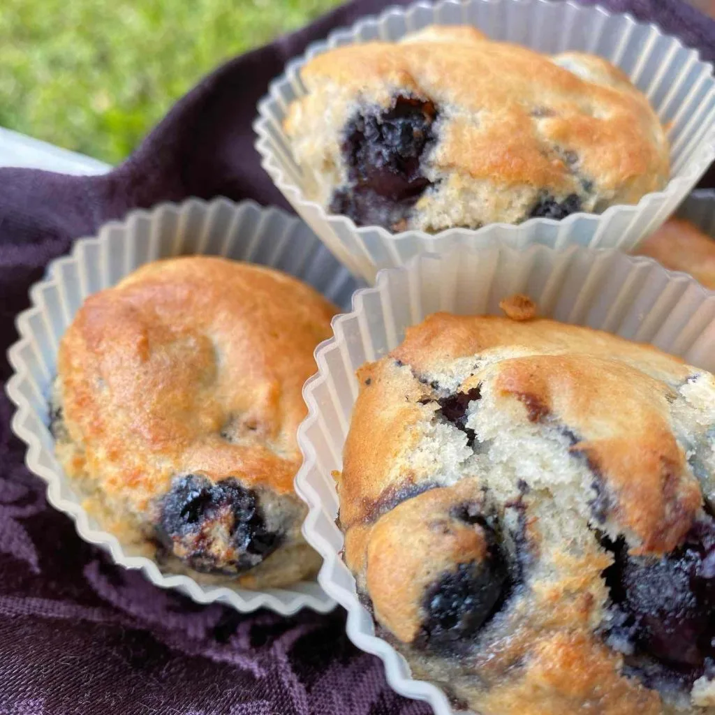 tres muffins de mirtilosob um tecido roxo