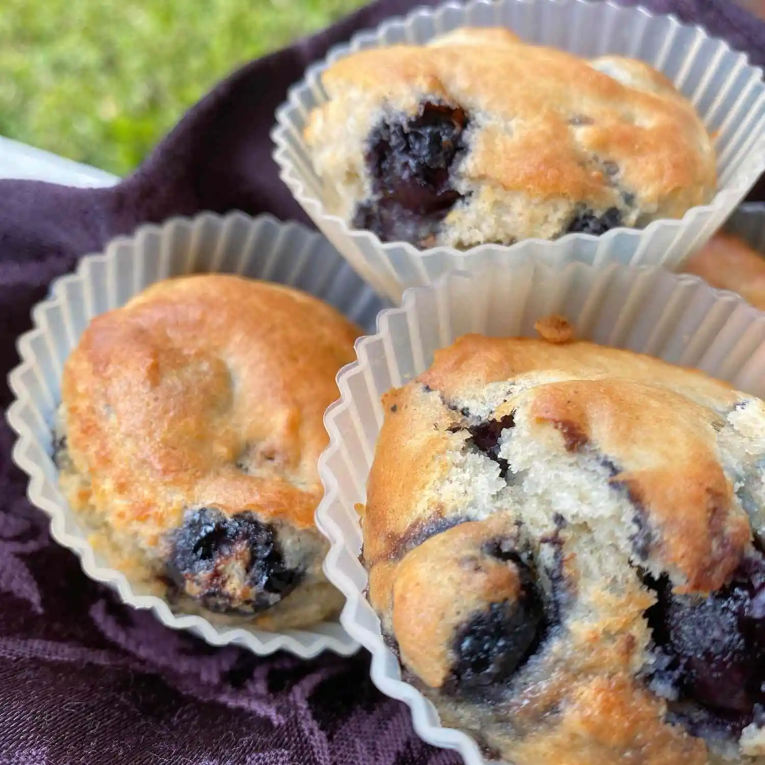 Muffins – Saiba como fazer essa delicia na Air Fryer