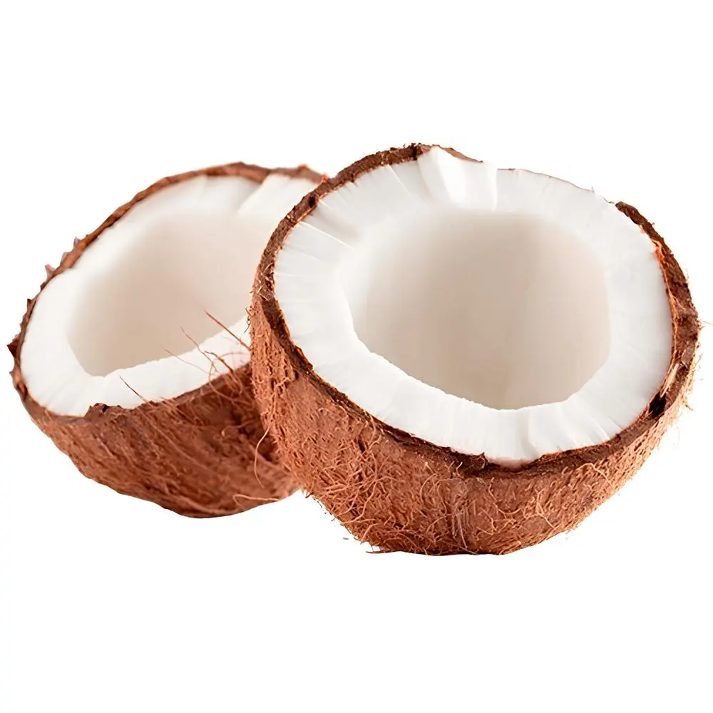 coco-pudim-gelado-de-coco