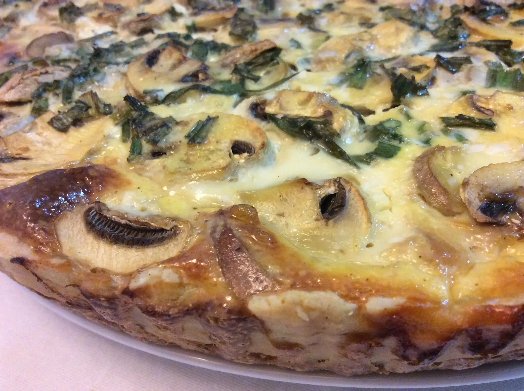 quiche-de-atum-com-cogumelos