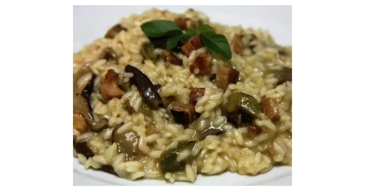 risotto de cogumelos em um prato na cor branca